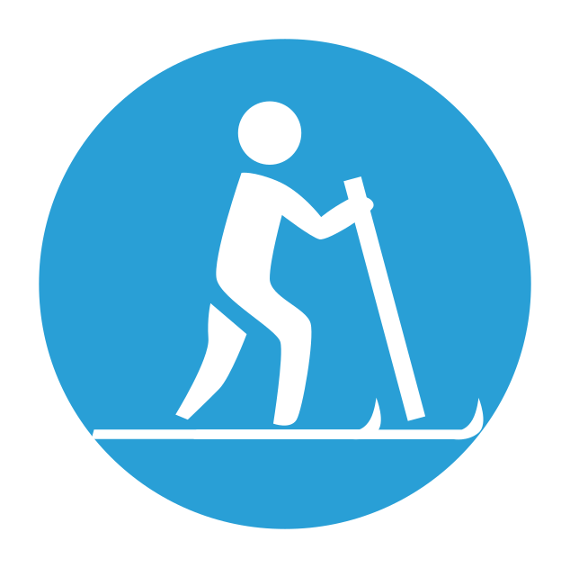 XC Skiing icon